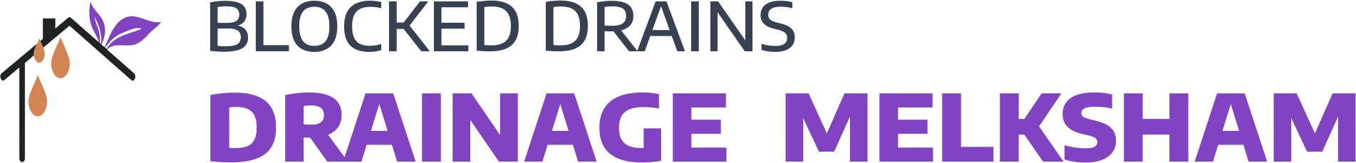 website logo